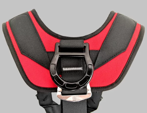 RiGGer iNoX - Imagen 4